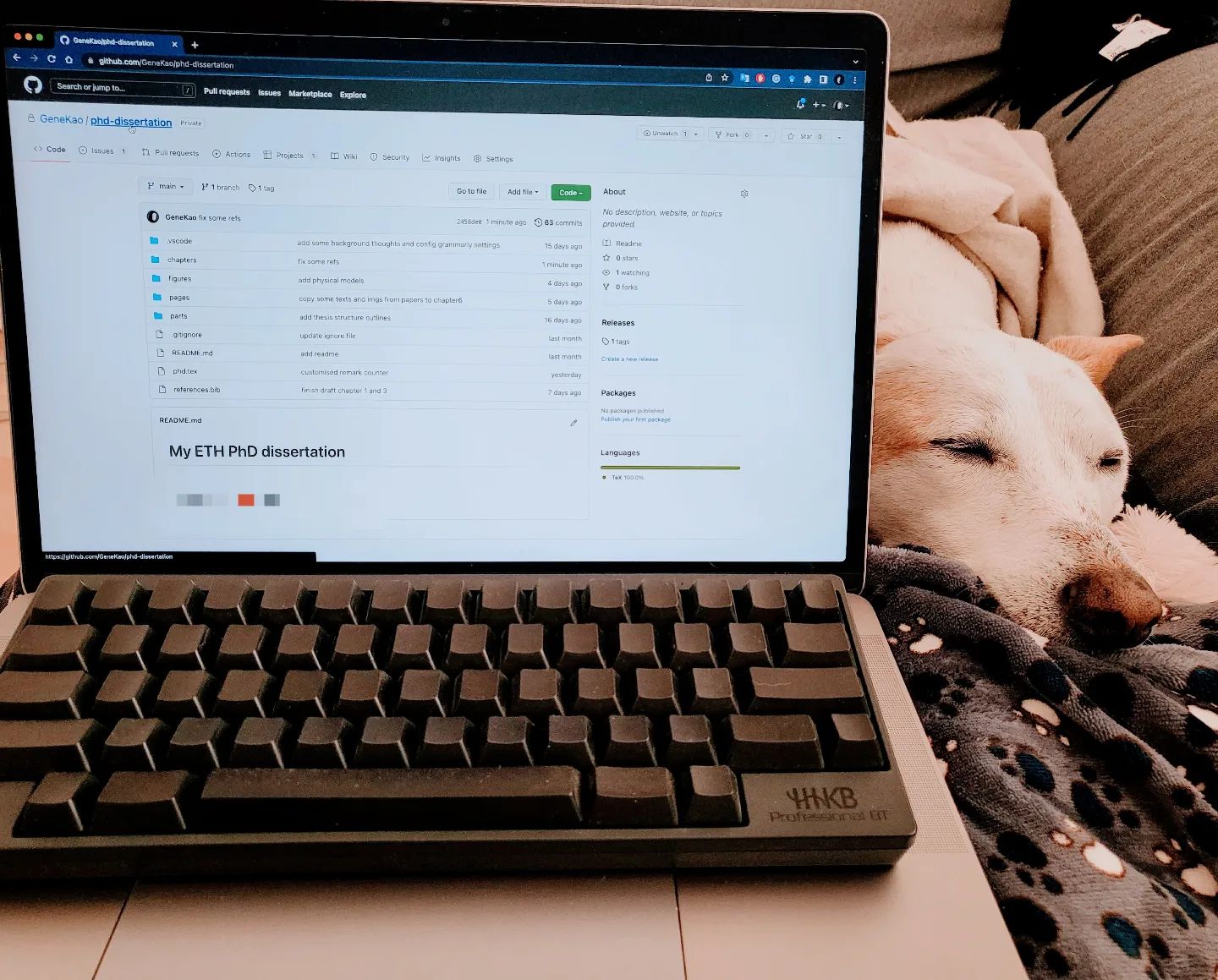 Genie keeping me company while I wrote my PhD dissertation